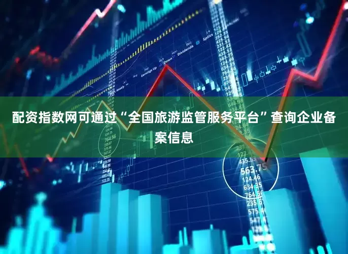 配资指数网可通过“全国旅游监管服务平台”查询企业备案信息