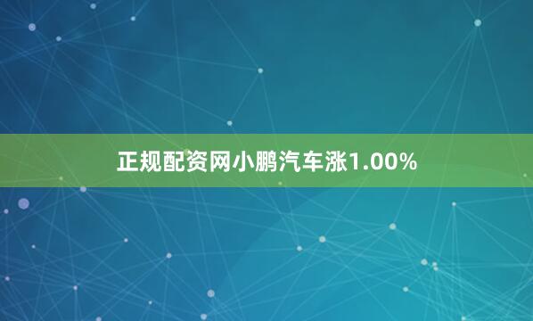 正规配资网小鹏汽车涨1.00%