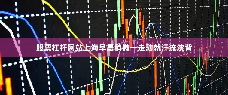 股票杠杆网站上海早晨稍微一走动就汗流浃背