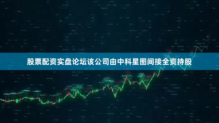 股票配资实盘论坛该公司由中科星图间接全资持股