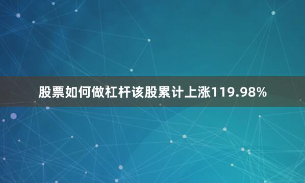 股票如何做杠杆该股累计上涨119.98%