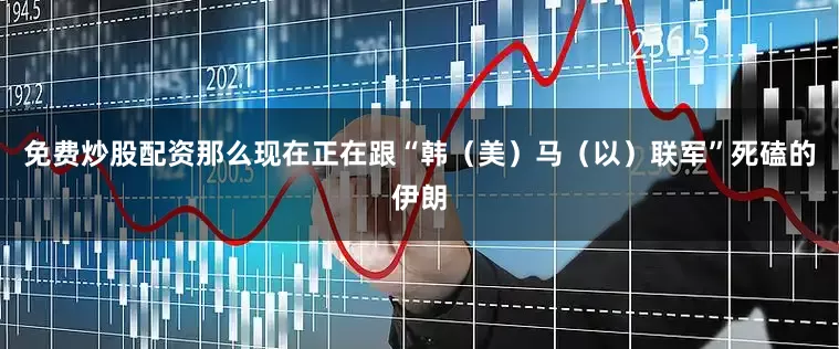 免费炒股配资那么现在正在跟“韩（美）马（以）联军”死磕的伊朗