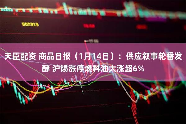 天臣配资 商品日报（1月14日）：供应叙事轮番发酵 沪锡涨停燃料油大涨超6%